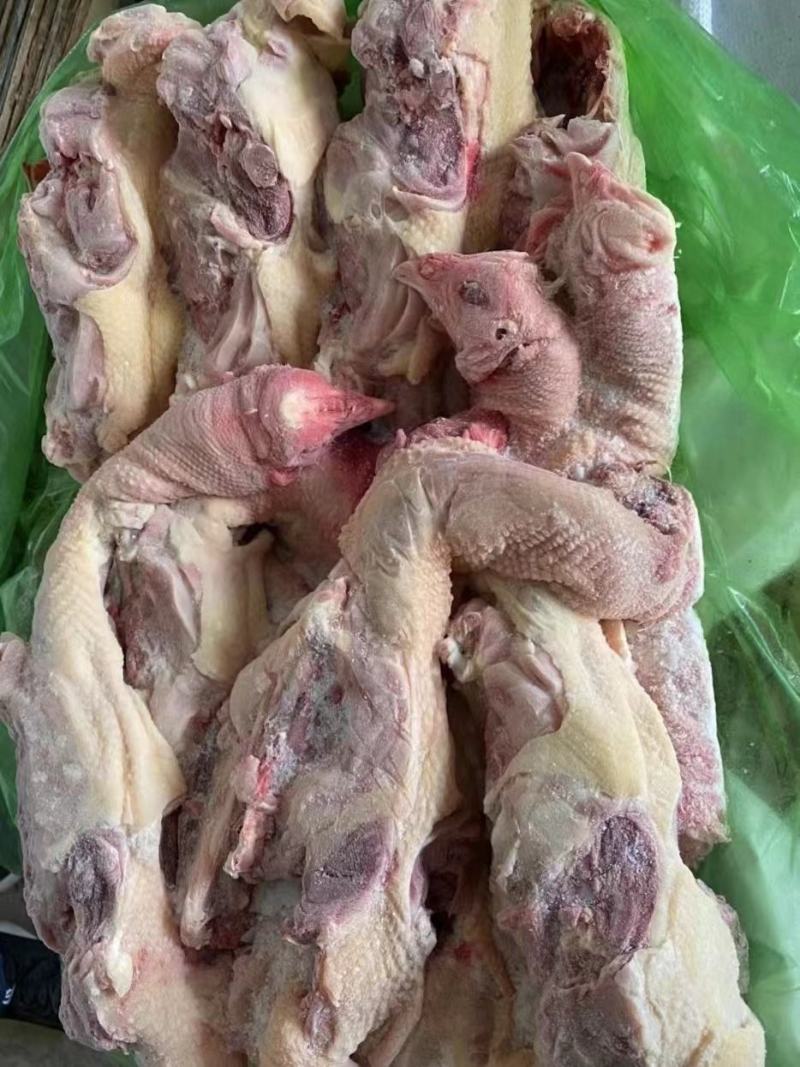 带头种鸡架