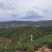 云南石屏高山露天杨梅