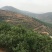 云南石屏高山露天杨梅