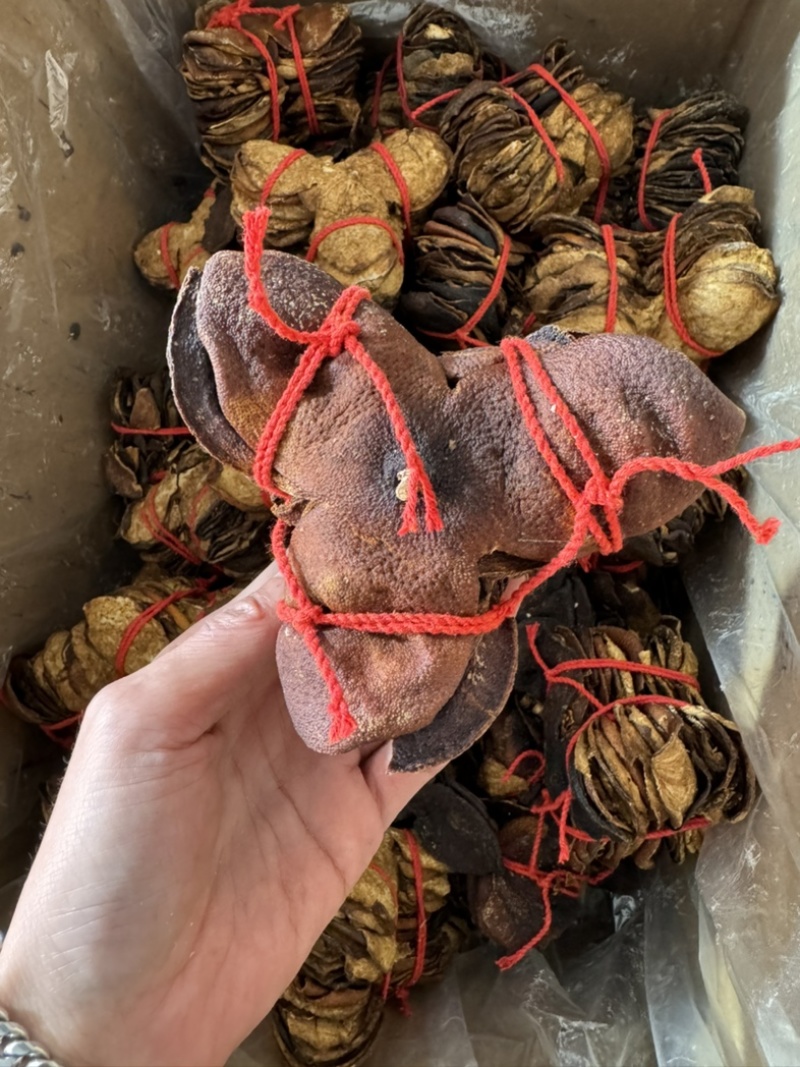 新会陈皮陈皮保庆药业批发新会陈皮实物拍摄