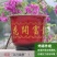 花开富贵牡丹花盆塑料仿陶瓷透气客厅喜庆大号盆栽绿植花卉送