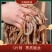 毛肚底板丝工厂直供火锅食材烧烤冒菜串串特级底板丝