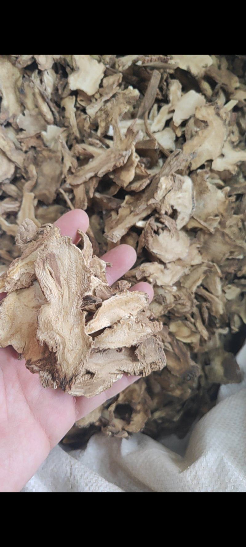 独活干货独活中药材量大从优！欢迎选购！