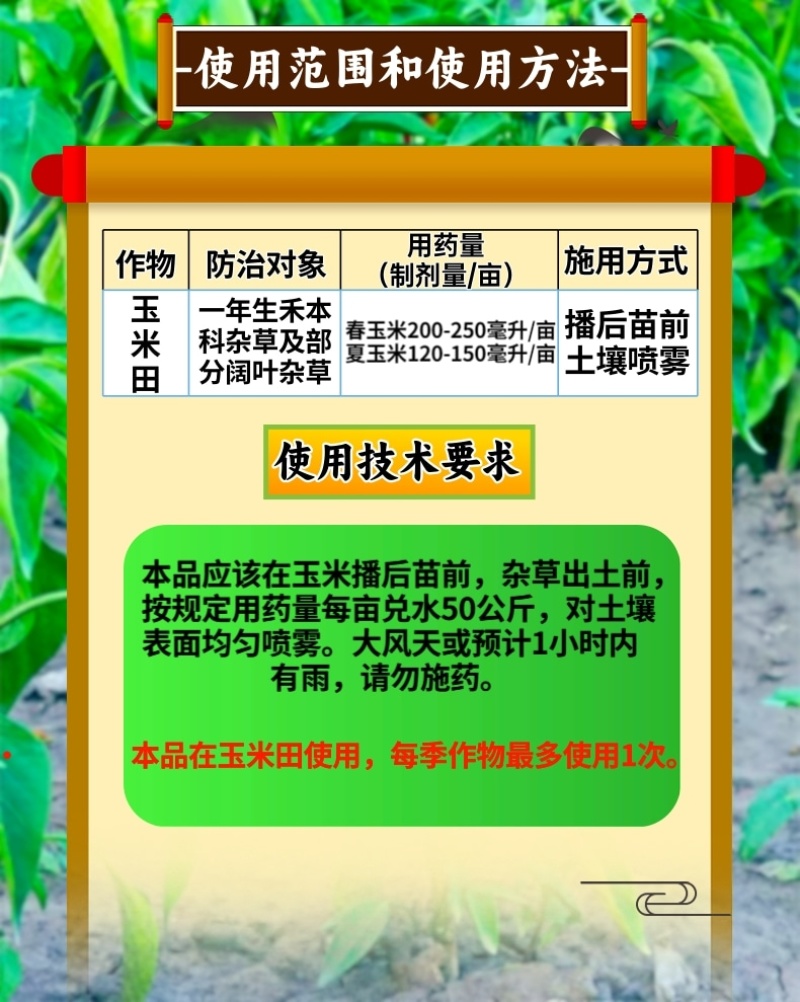50%乙草胺乙草铵玉米田播种后出苗前杀草籽除草剂苗前用