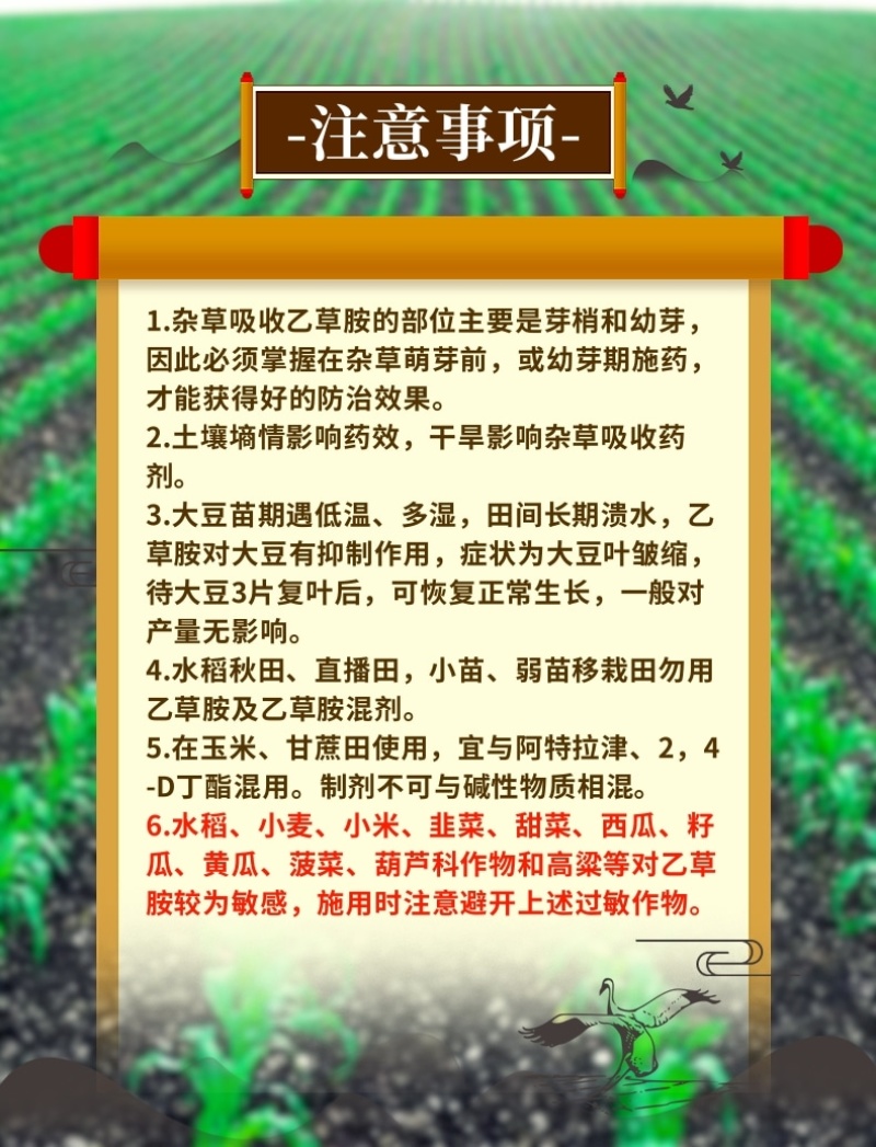 50%乙草胺乙草铵玉米田播种后出苗前杀草籽除草剂苗前用