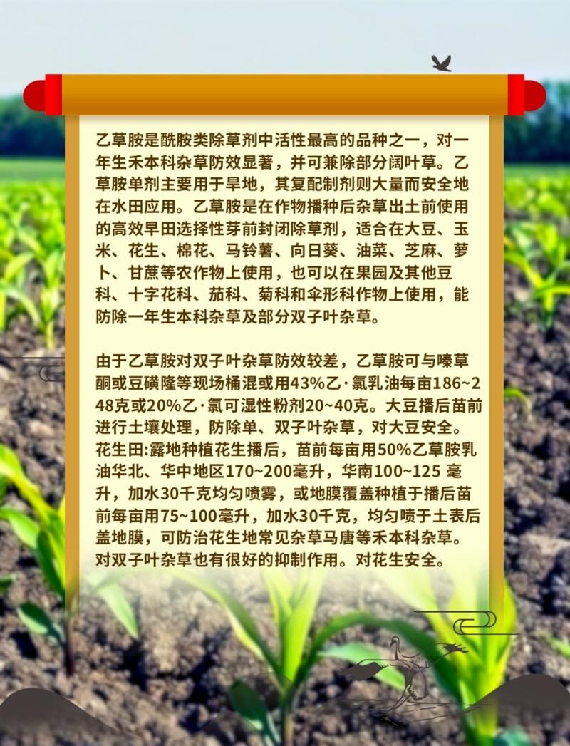 50%乙草胺乙草铵玉米田播种后出苗前杀草籽除草剂苗前用