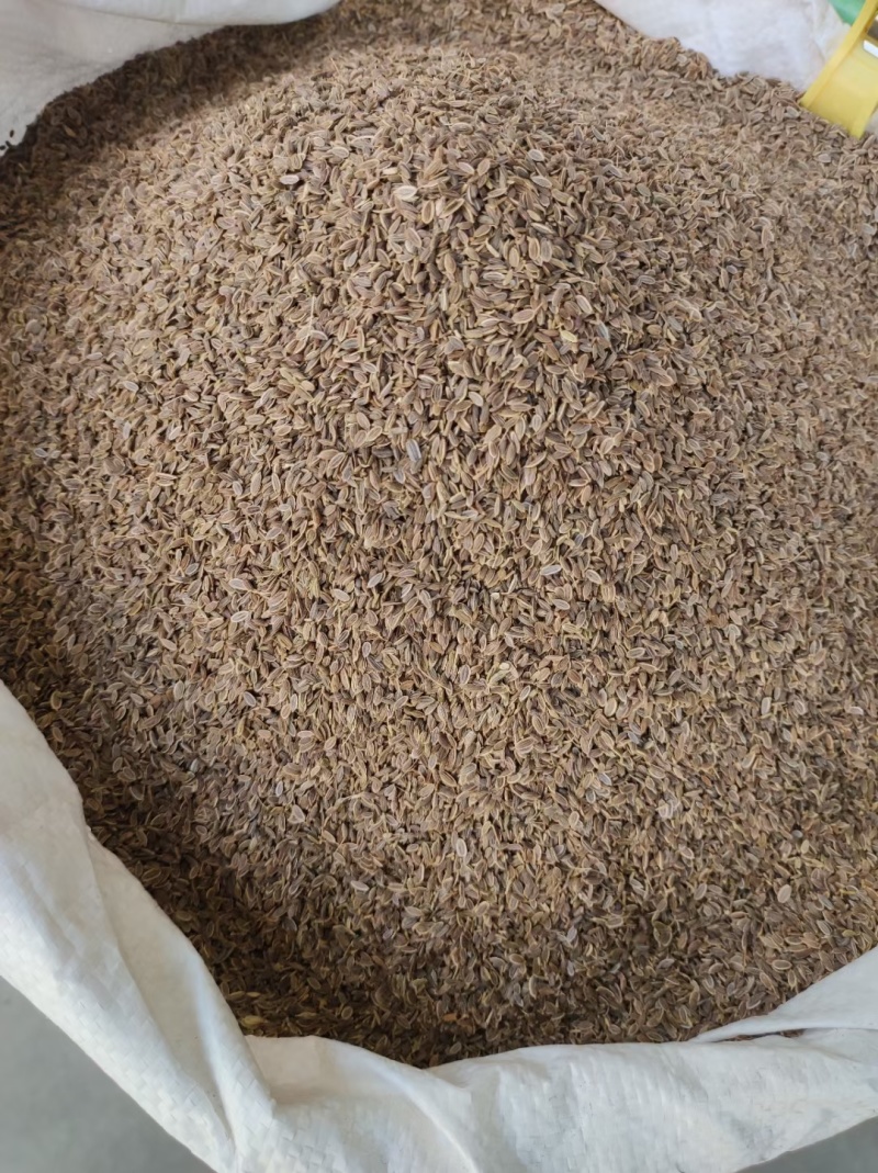 千里香香菜籽孜然小茴香全品类香辛料中药材大全