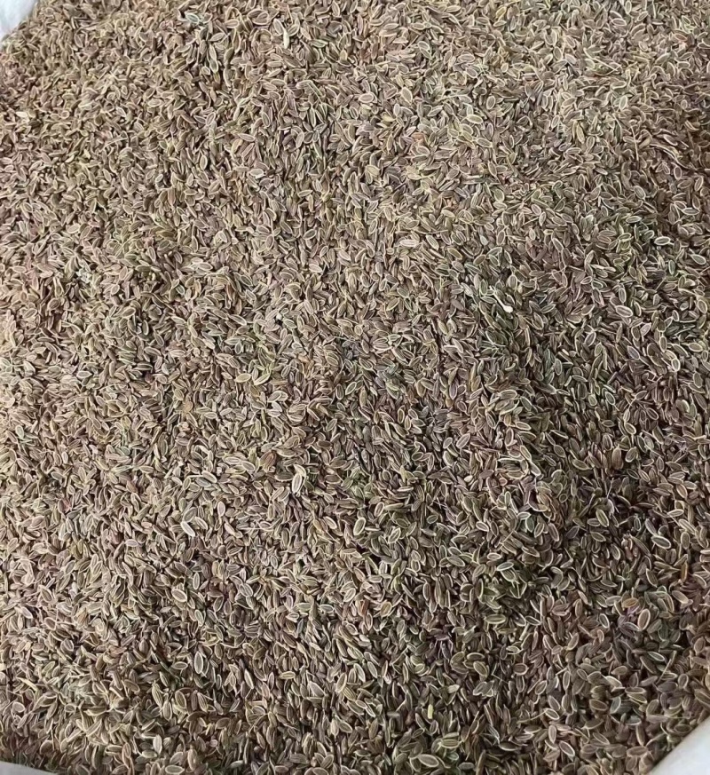 千里香香菜籽孜然小茴香全品类香辛料中药材大全