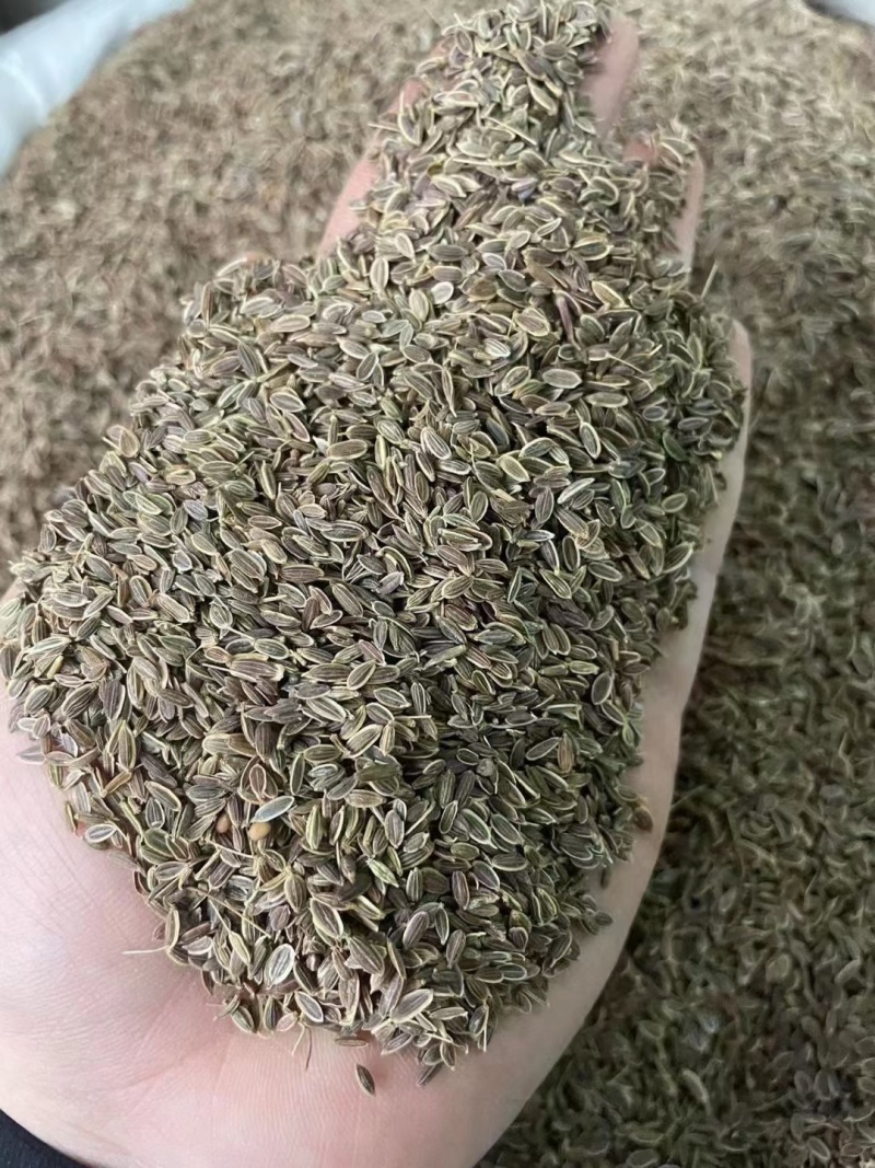 千里香香菜籽孜然小茴香全品类香辛料中药材大全