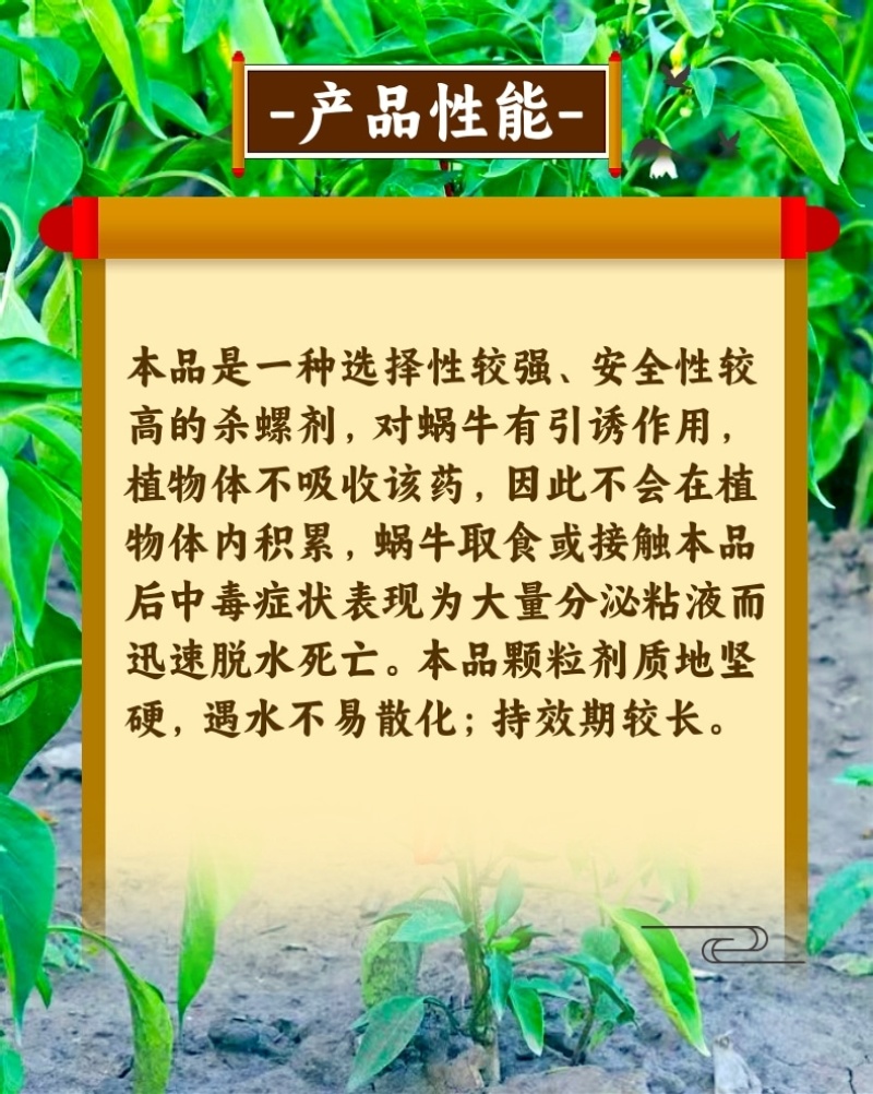 6%四聚乙醛杀螺剂蜗牛杀虫剂500克四聚乙醛撒施用
