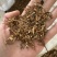 龙胆草龙胆草苦胆草保庆药业实物拍摄龙胆草