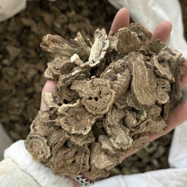 木香广木香统货木香保庆药业批发过筛货木香