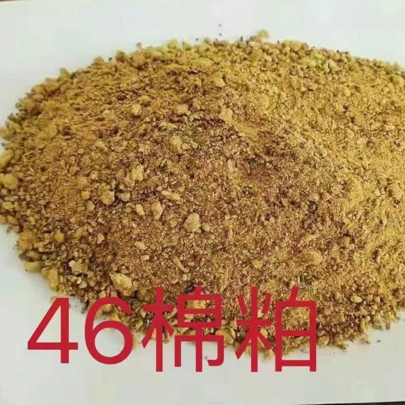 棉粕蛋白46动物蛋白饲料，保证好质量全国发货