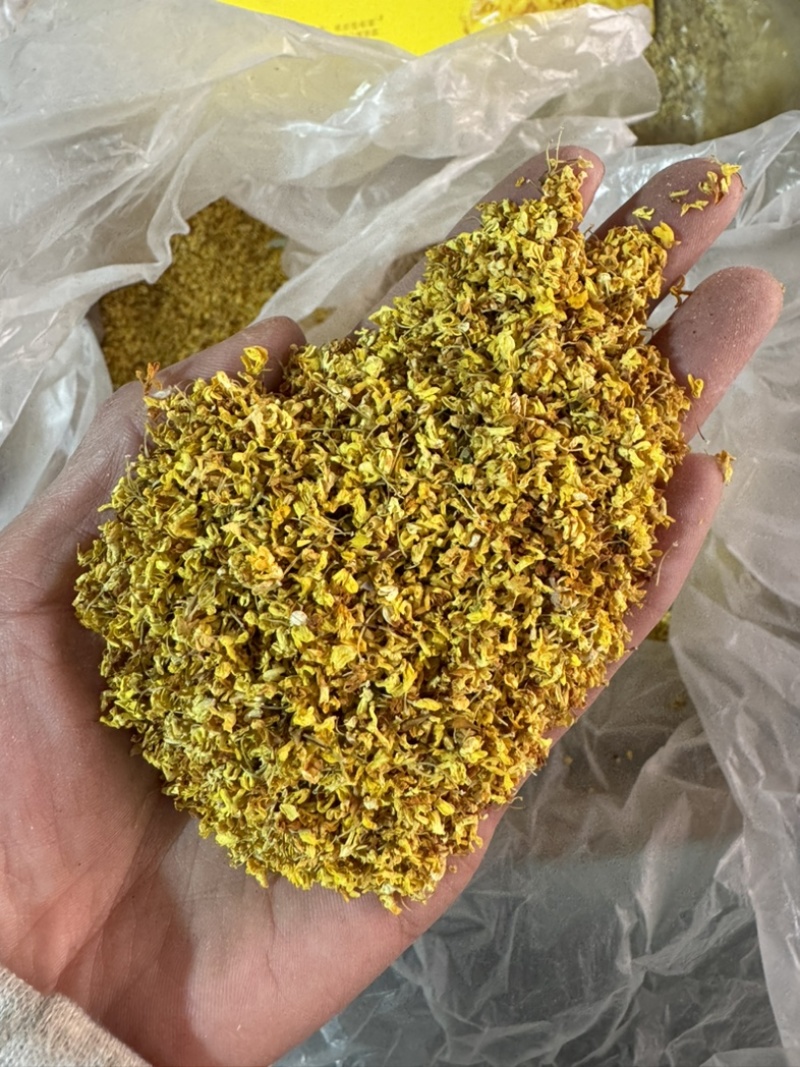 桂花实物拍摄桂花保庆药业批发桂花茶实物拍摄