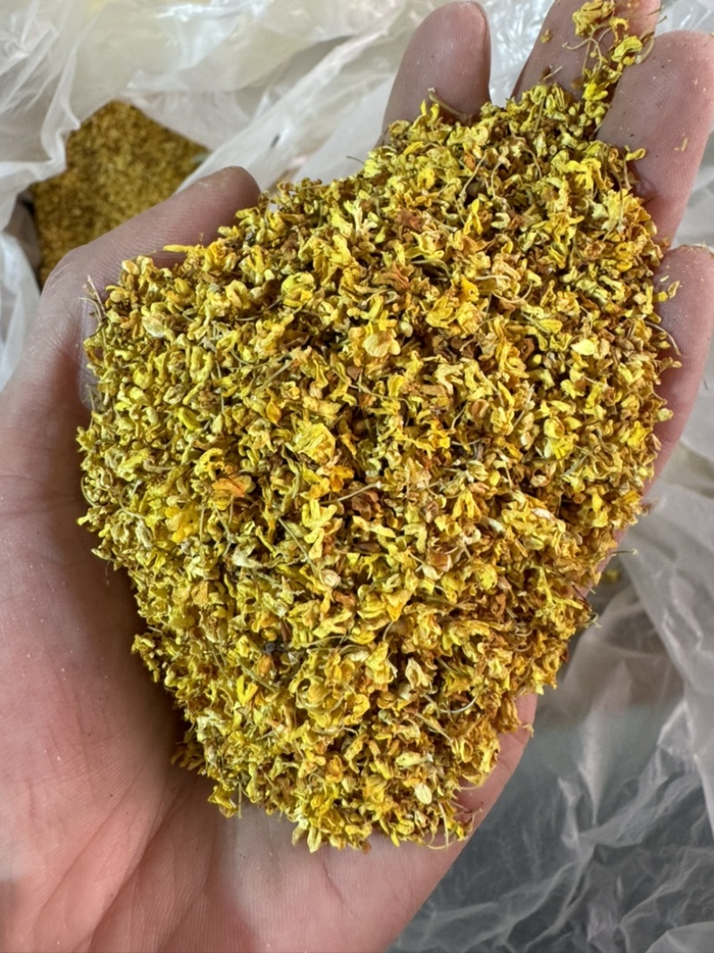 桂花实物拍摄桂花保庆药业批发桂花茶实物拍摄