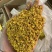 桂花实物拍摄桂花保庆药业批发桂花茶实物拍摄