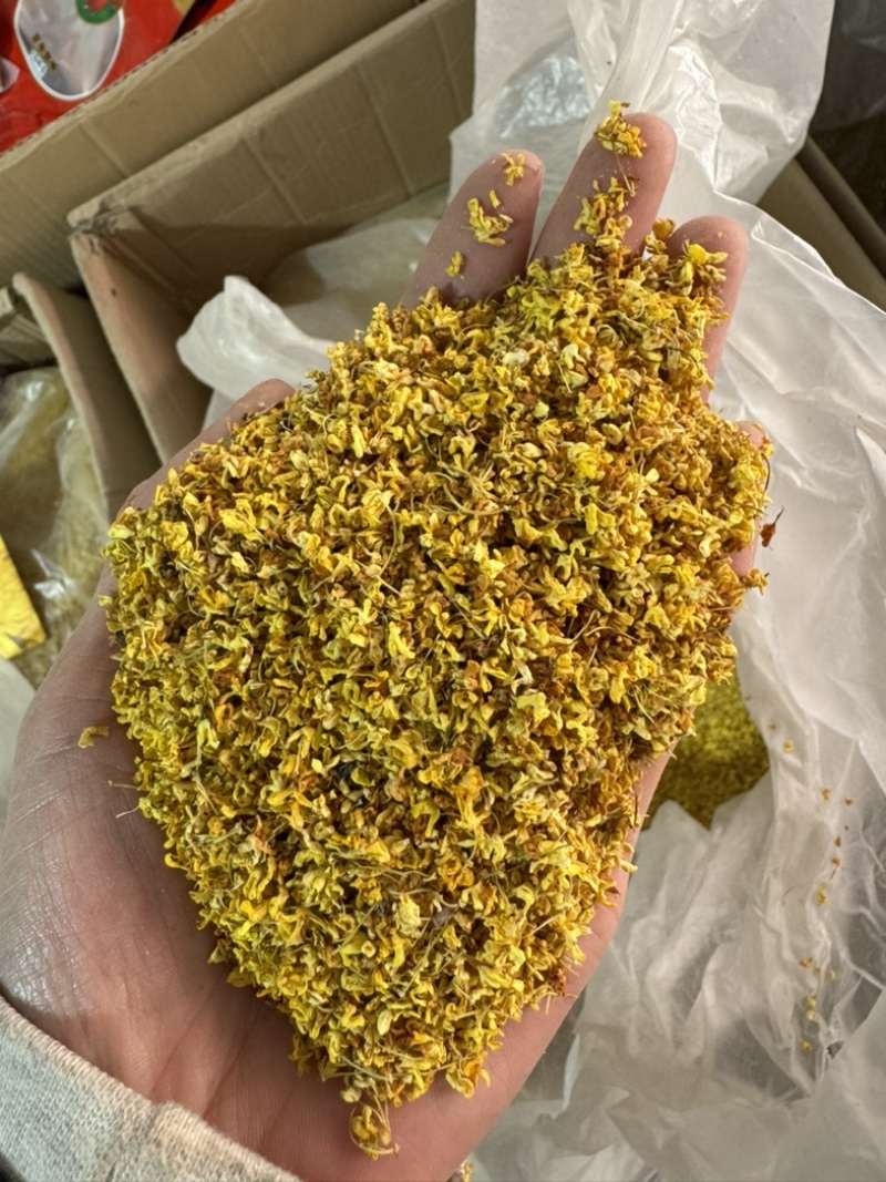 桂花实物拍摄桂花保庆药业批发桂花茶实物拍摄