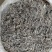 广西野生龙藤茶