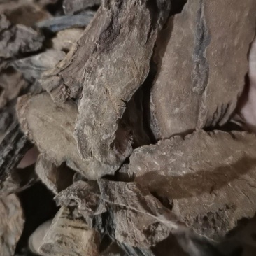 锁阳正品锁阳片泽润中药批发零售各种中药材