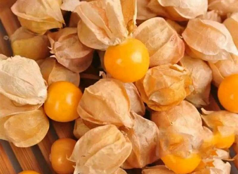 灯笼果