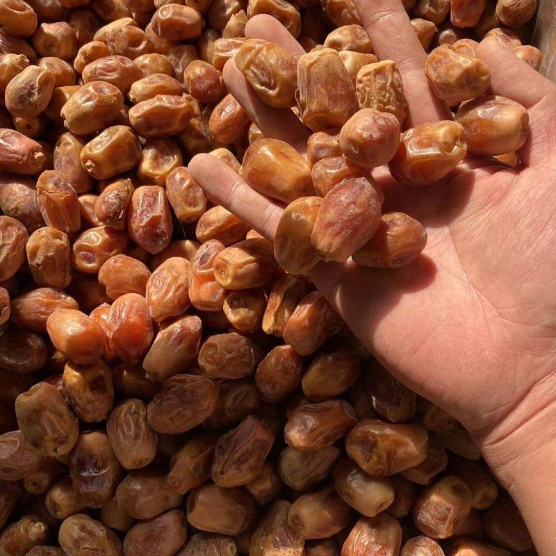 伊拉克黄椰枣中东特产非新疆迪拜阿联酋沙特伊朗黑椰枣批发价