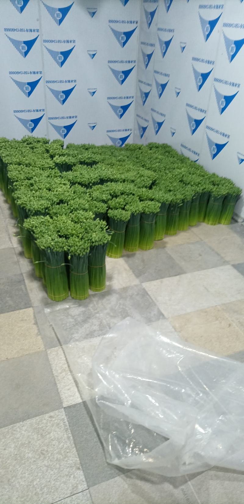 韭菜苔