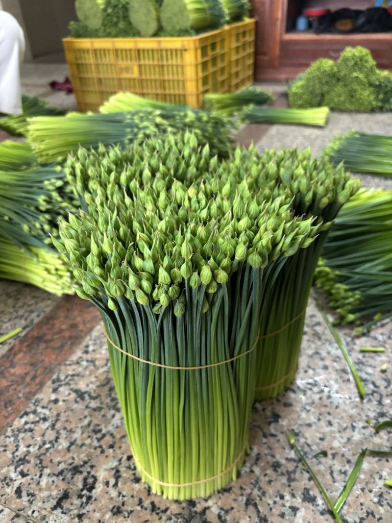 韭菜苔