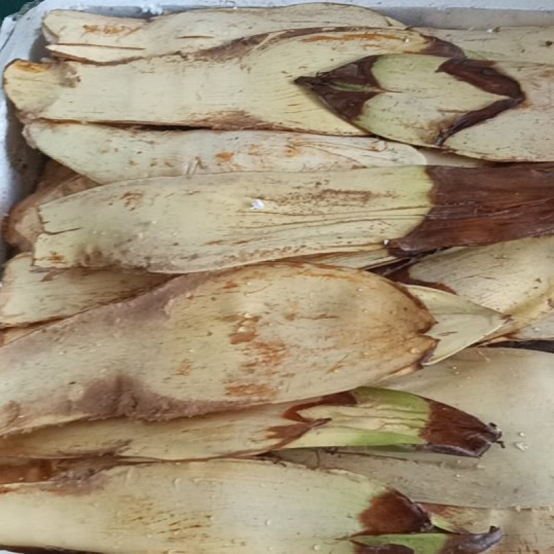 棕包