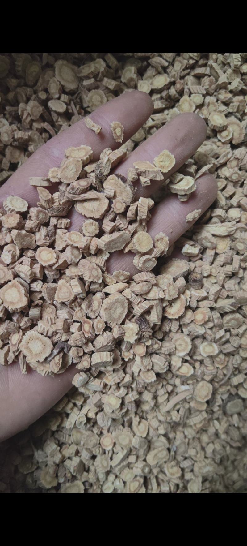 防风片内蒙防风籽风统货过筛无杂质专注品种