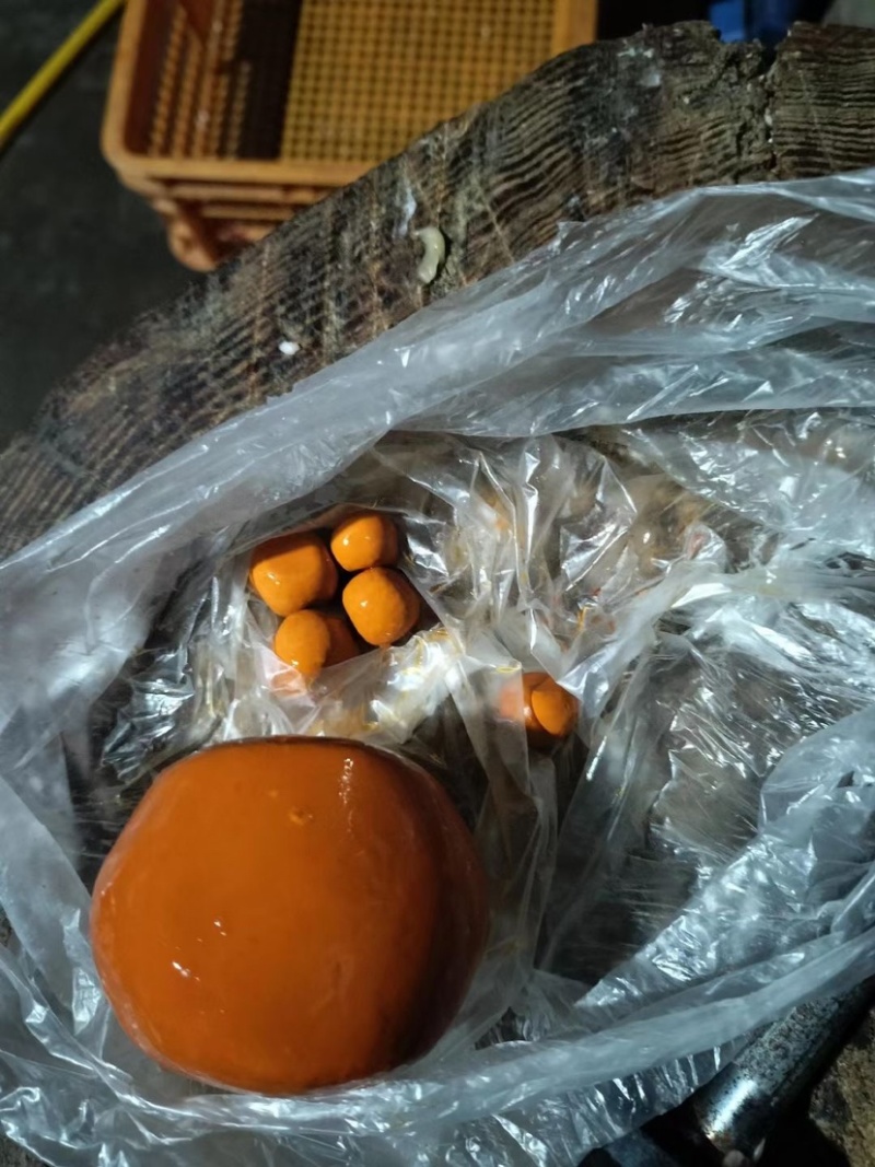 天然货牛黄新鲜屠宰场牛好出来的可以看货休