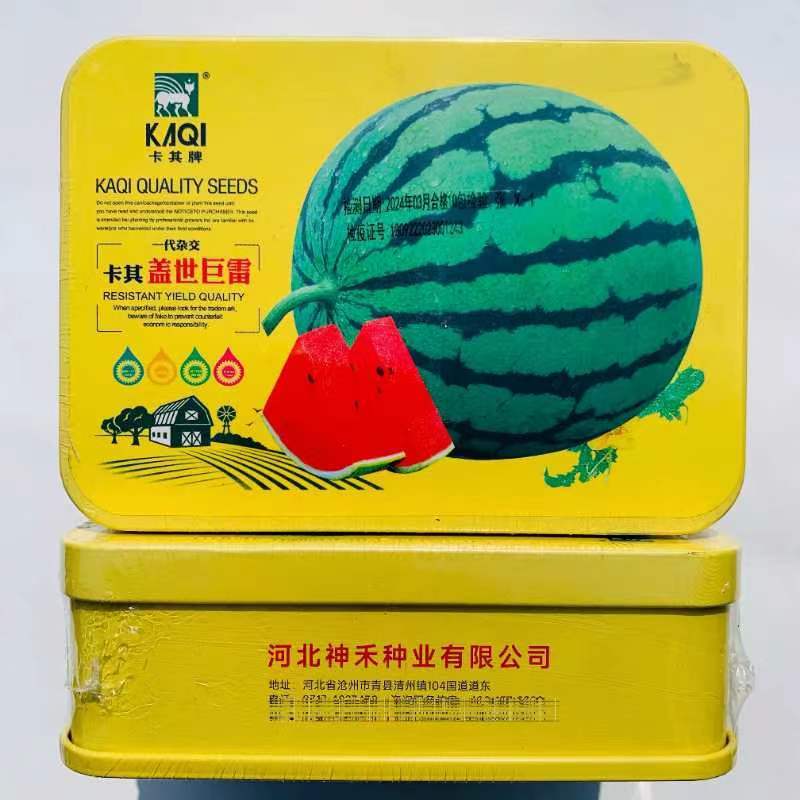 卡其盖世巨雷西瓜种子抗病皮薄果肉红色西瓜种子下易裂果