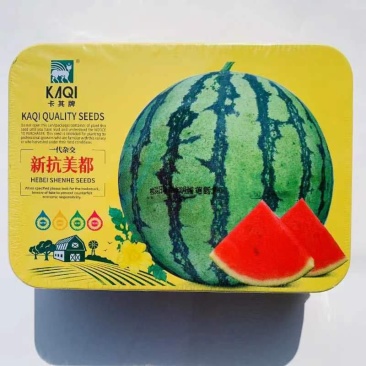 卡其新抗美都西瓜种子中早熟抗病糖度高瓤色鲜红口感好西瓜种