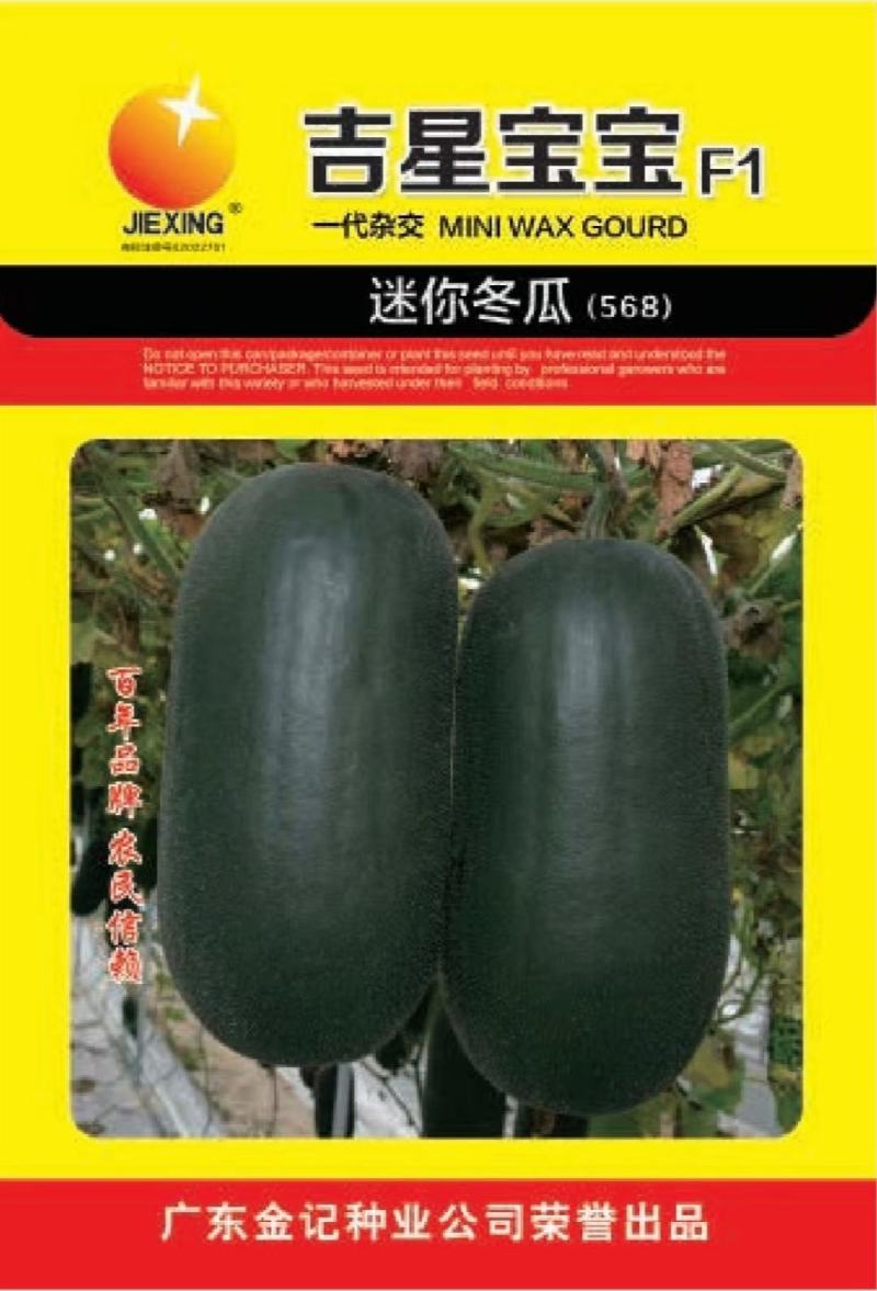冬瓜种子吉星宝宝迷你型小冬瓜结瓜早挂果率高品质好