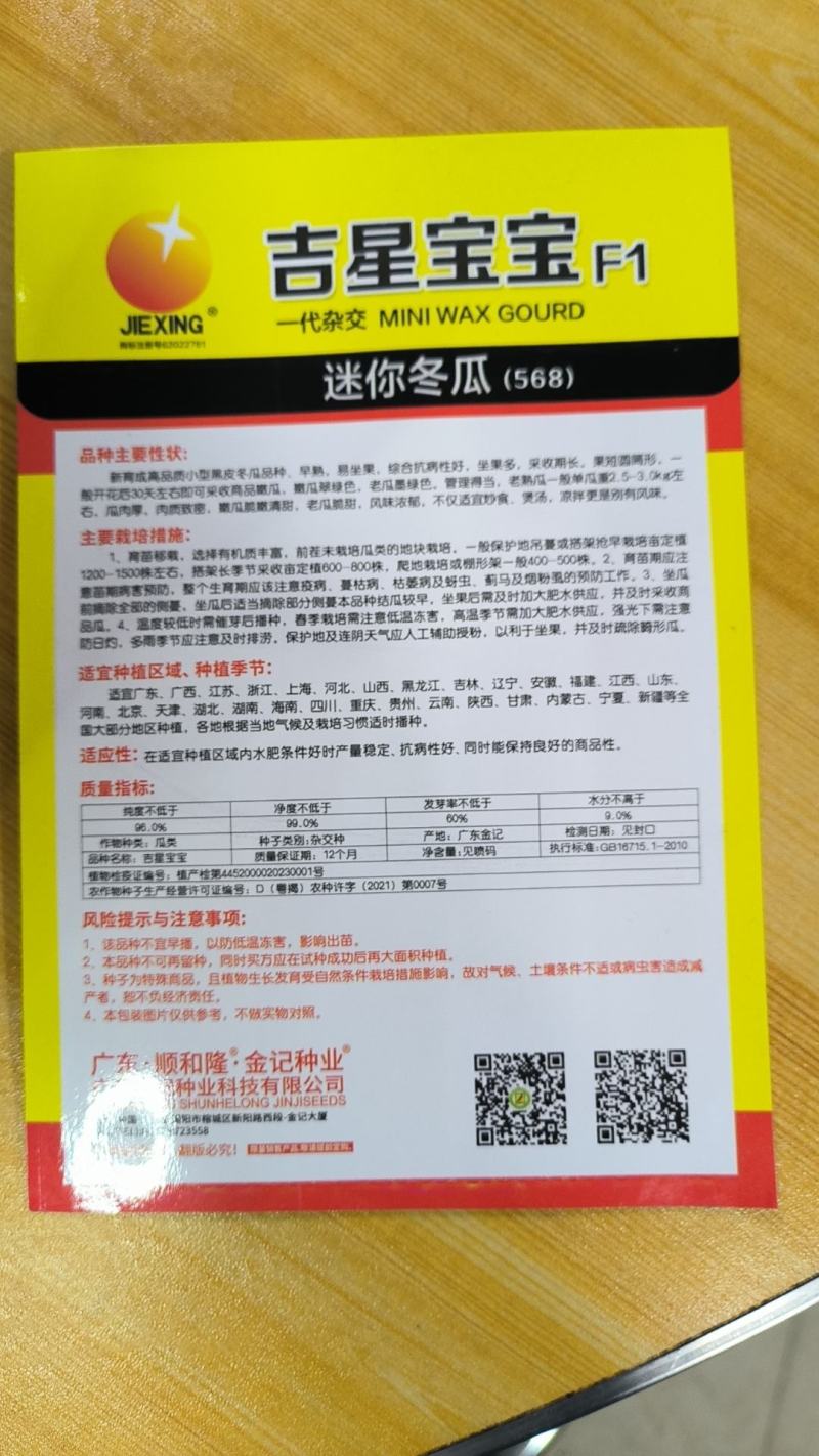 冬瓜种子吉星宝宝迷你型小冬瓜结瓜早挂果率高品质好
