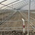 厂家直销蔬菜大棚骨架型号齐全量大可优惠全国发货