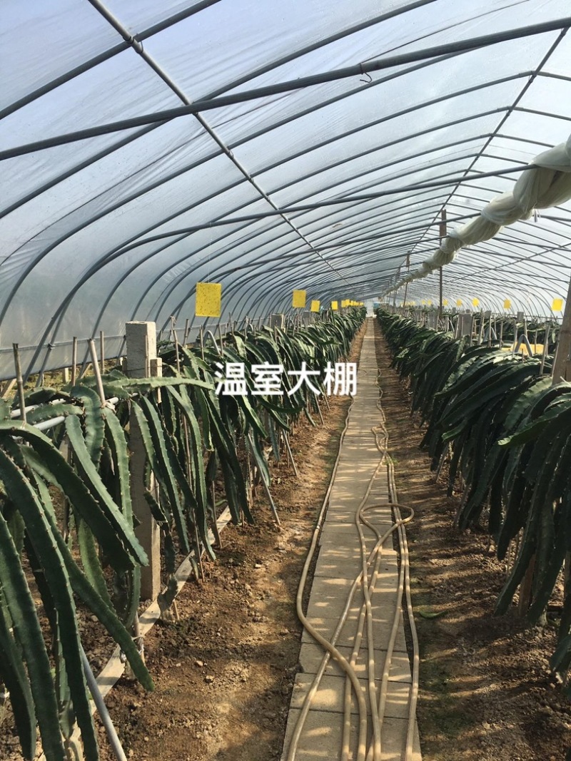 厂家直销蔬菜大棚骨架型号齐全量大可优惠全国发货