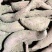 西瓜红种薯货源充足质量商城1全国发货各种红薯大量上市