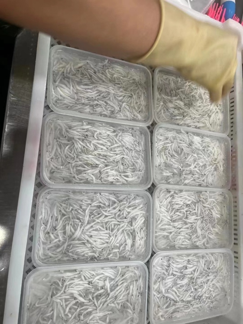 海水小银鱼无骨无刺宝宝辅食一盒200克（海捕