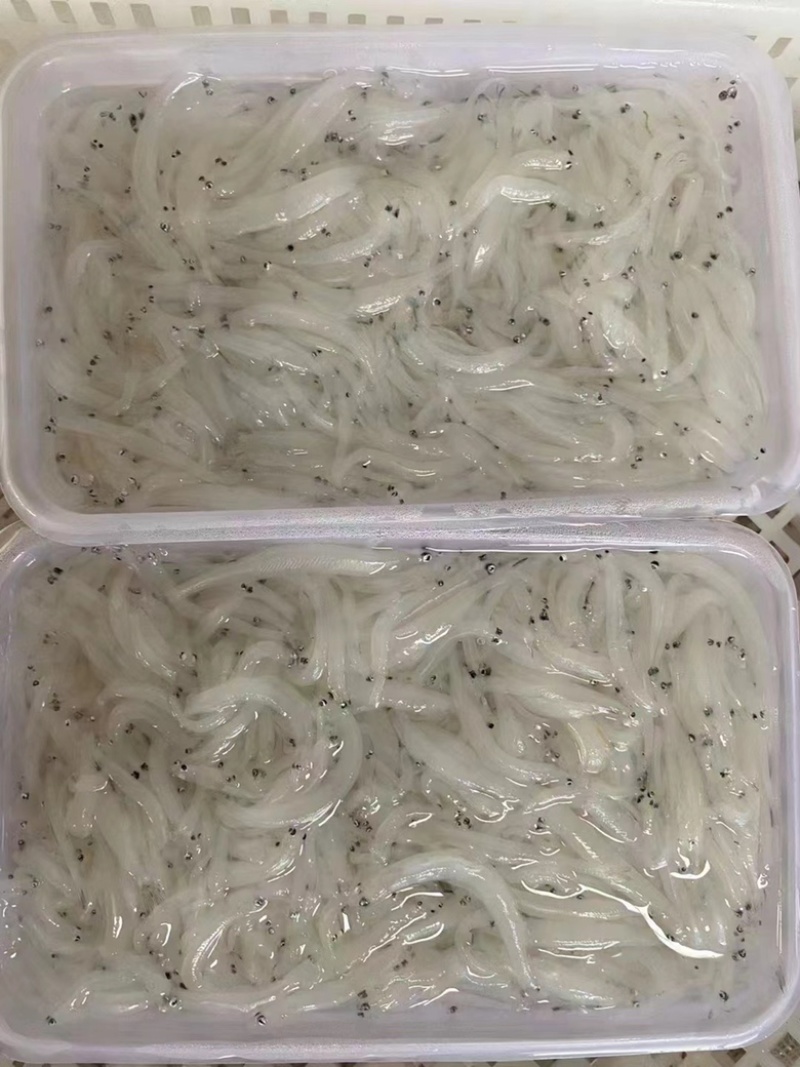 海水小银鱼无骨无刺宝宝辅食一盒200克（海捕