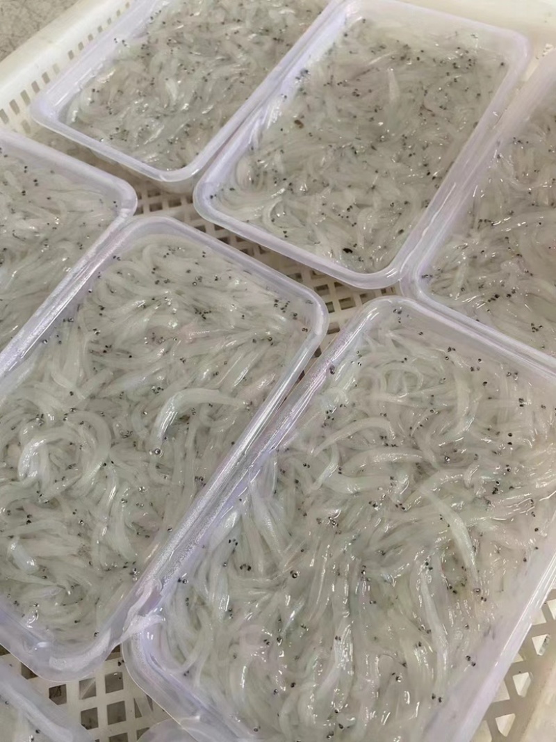 海水小银鱼无骨无刺宝宝辅食一盒200克（海捕