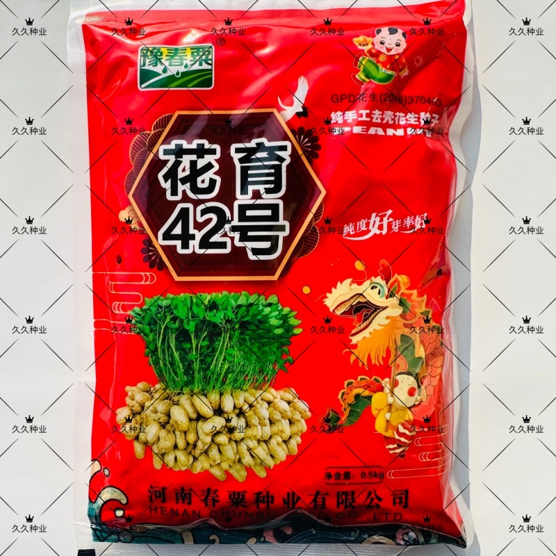花育42号花生种子抗倒伏油食兼用花生种籽手工去壳大田用