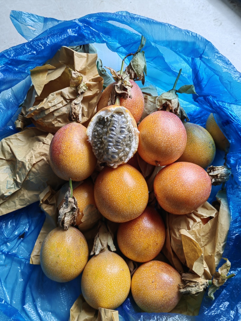 大量供应热情果