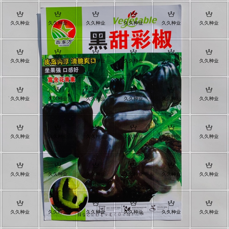 黑甜彩椒种子皮薄肉厚甜辣多汁黑紫色大甜椒种子甜椒富含花青
