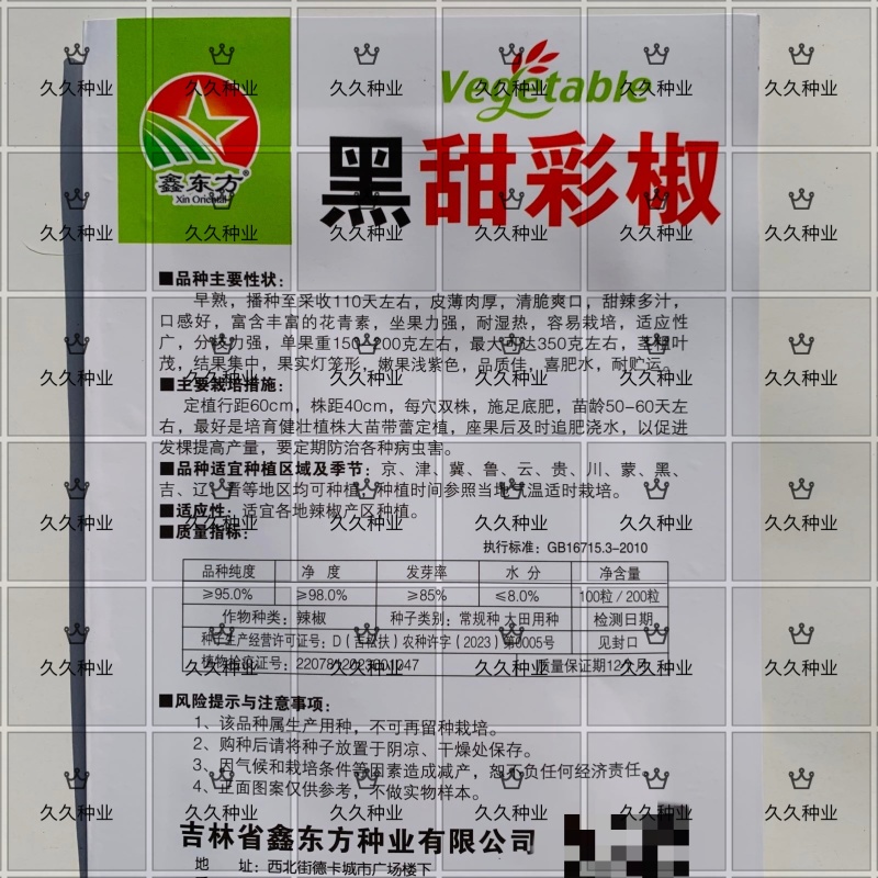 黑甜彩椒种子皮薄肉厚甜辣多汁黑紫色大甜椒种子甜椒富含花青