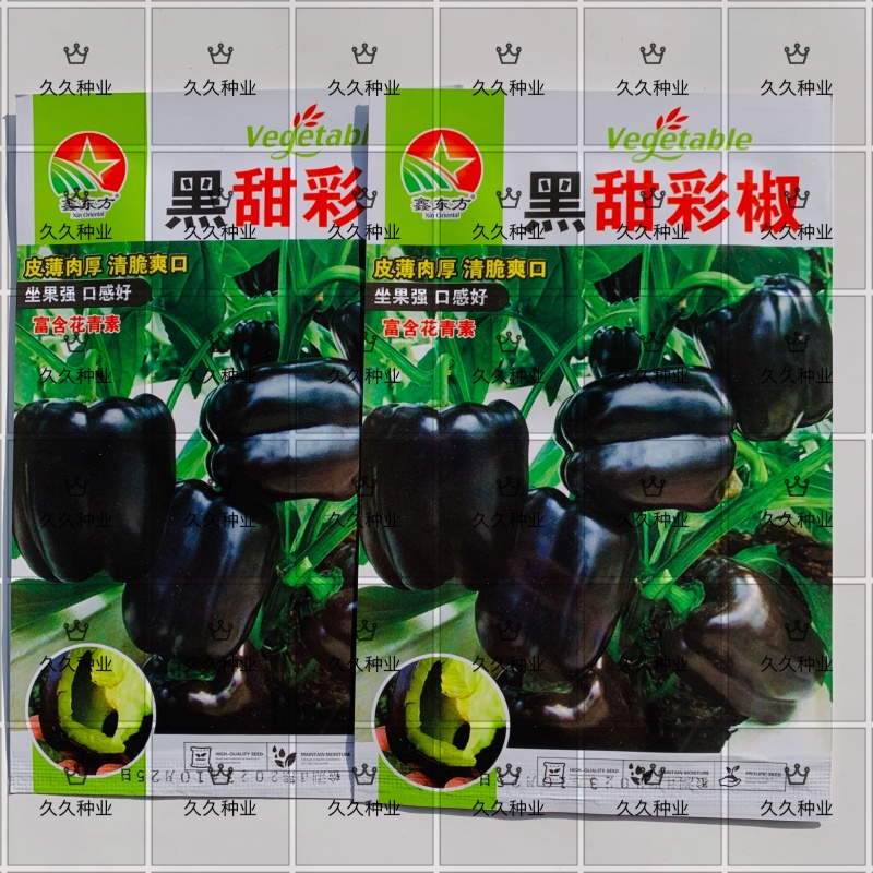 黑甜彩椒种子皮薄肉厚甜辣多汁黑紫色大甜椒种子甜椒富含花青