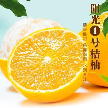 【热卖】正宗阳光一号果冻橙新鲜采摘水果高端自产自销四川产发