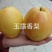 构橘苗枳壳苗现挖现发高成活率基地包邮