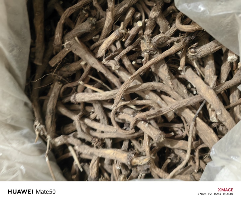野生蒲公英根今年新货质量上乘万信药业只做精品