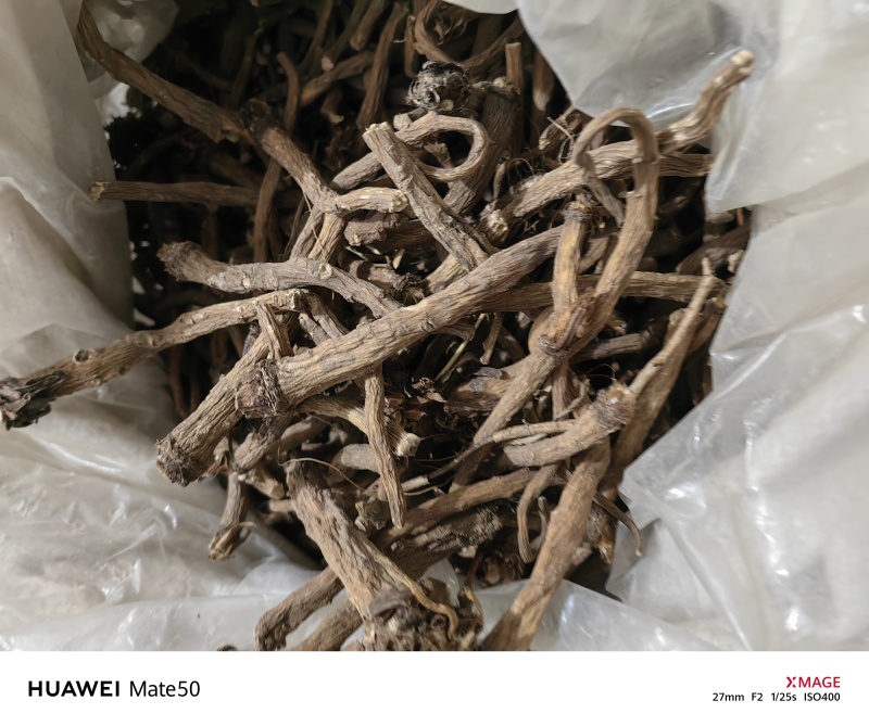 野生蒲公英根今年新货质量上乘万信药业只做精品