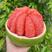 泰国红宝石青柚苗南北四季皆可种植量大从优欢迎订购